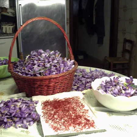 Agriturismo Il Mercante * San Martino sul Fiora